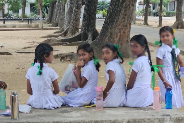 யாழில் ஆர்வத்துடன் புலமைப்பரிசில் பரீட்சையில் பங்கேற்ற மாணவர்கள் | Grade 5 Scholarship Exam Centers In Jaffna