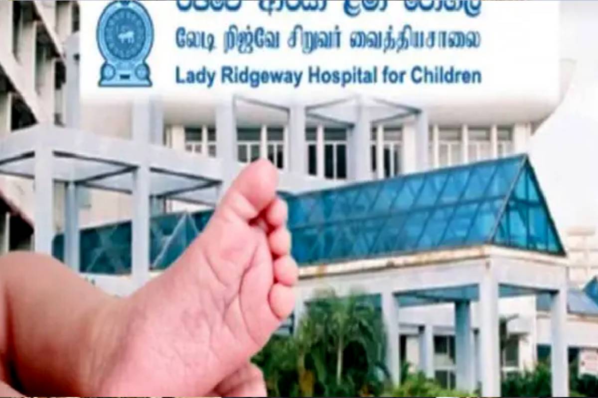 நாட்டில் வேகமாக பரவும் டெங்கு - குழந்தைகளுடன் மருத்துவமனை வருவோருக்கு அவசர அறிவிப்பு | Instructions Issued To Mothers Dengue Testing நாட்டில் வேகமாக பரவும் டெங்கு - குழந்தைகளுடன் மருத்துவமனை வருவோருக்கு அவசர அறிவிப்பு | Instructions Issued To Mothers Dengue Testing