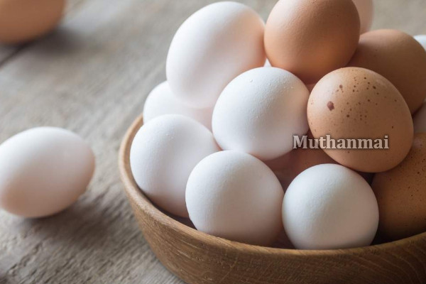 முட்டை சார்ந்த உணவுப் பொருட்களின் விலை அதிகரிப்பு! வெளியான தகவல் | High Egg Dish Prices Worry Consumers