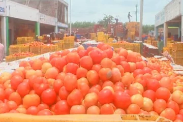 ரூ. 21 லட்சம் மதிப்புள்ள தக்காளியுடன் லொறி கடத்தல்! பொலிசார் வலைவீச்சு