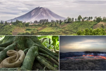 2022 දී ලොව භයානකම ස්ථාන ගැන ඔබ දන්නවාද..?