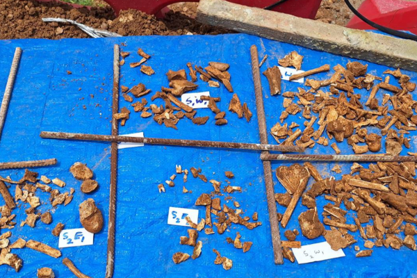 கொழும்பு துறைமுகத்தில் 88 என்புக்கூடுகள் கண்டுபிடிப்பு | 88 Skulls Found In Colombo Port Area