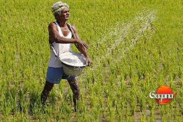 වී ගොවීන්ටනම් සුබයි වගේ