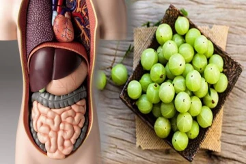 தினம் ஒரு நெல்லிக்காய் சாப்பிட்டால் இவ்வளவு நன்மை இருக்கா? இனிமேல் மிஸ் பண்ணாதீங்க