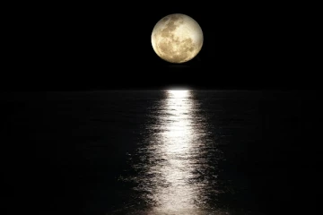 பெளர்ணமி காலங்களில் அதிகரிக்கும் தற்கொலைகள் - ஆய்வில் அதிர்ச்சி தகவல்