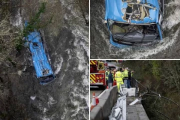 கிறிஸ்துமஸ் தினத்தன்று 240 அடி பள்ளத்தாக்கிற்குள் பாய்ந்த பேருந்து: உறைய வைக்கும் புகைப்படங்கள்