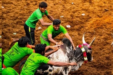 அலங்காநல்லூர் ஜல்லிக்கட்டை மிரள வைத்த காளைகள் - Alanganallur Jallikattu 2023 Highlights