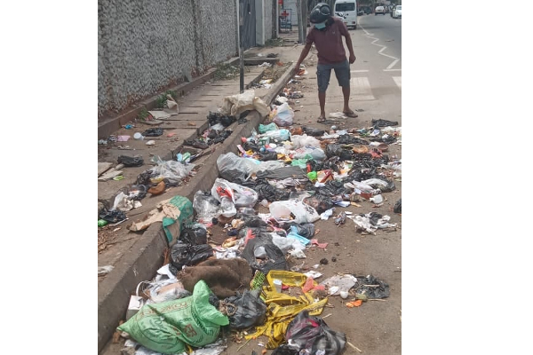 குப்பைகளில் இருந்து எடுக்கப்பட்ட முகவரிகள்: அதிகாரிகள் அதிரடி நடவடிக்கை | Addresses Taken From The Trash Authorities Action