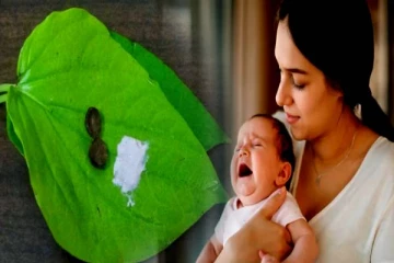 வெற்றிலையுடன் கஸ்தூரி சேர்த்து மடித்து கொடுத்தால் என்ன நடக்கும்? குளிர்காலத்தில் செய்து பாருங்க!