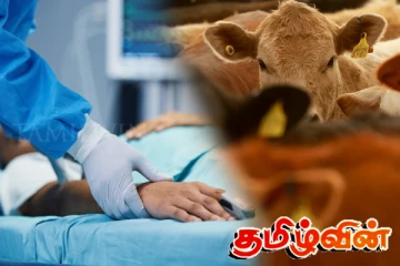 அமெரிக்காவில் முதன்முதலாக உறுதி செய்யப்பட்ட நோய் தொற்று