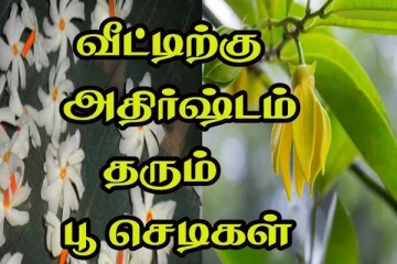 வெள்ளைக்கிழமை மஹாலக்ஷ்மிக்கு உகந்த மலர் எது?