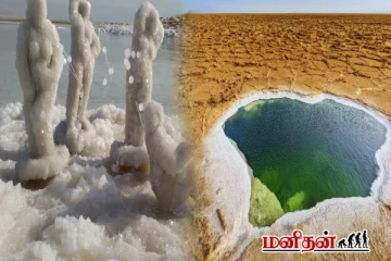 Dead Sea: உலகிலேயே அதிக உப்புத்தன்மை கொண்ட கடல் எது?