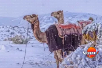 වසර 30කට පසු හිමෙන් වැසුනු සෞදි අරාබිය