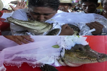 முதலையை திருமணம் செய்த மேயர்!