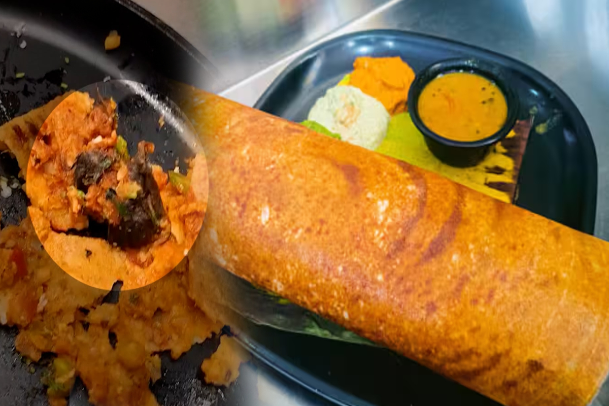 ஓட்டலில் மசாலா தோசை சாப்பிட சென்றவருக்கு அதிர்ச்சி; இப்படியுமா! | Dead Rat Found Inside Masala Dosa At A Maharashtra