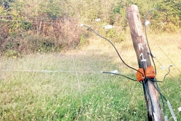 மட்டக்களப்பில் பரபரப்பு ; சட்டவிரோத மின்சார வேலியில் சிக்கி இரு விவசாயிகள் பலி