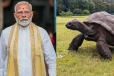 මෝදිගේ විශේෂ සීෂෙල්ස් ගමන - ලෝකයේ වයස්ගතම කැස්බෑවාත් බලන්න යයි