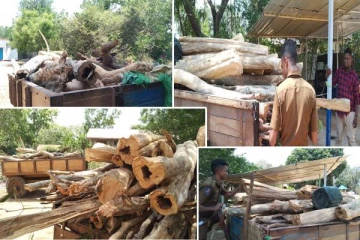 கிளிநொச்சியில் அரச காட்டுக்குள் அனுமதி இன்றி உள் நுழைந்த ஐவர் கைது