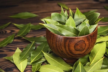 சிறுநீரக பிரச்னையை சரி செய்யும் பிரியாணி இலை