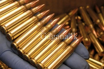 ජීව උණ්ඩ නිෂ්පාදනය ලංකාවේ ඇරඹීමට සැරසෙයි.