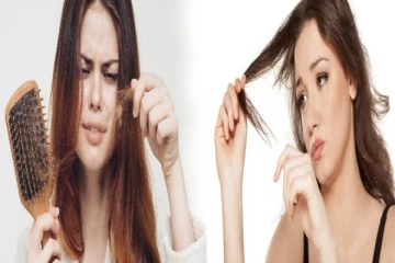 முடி உதிர்வை உடனடியா நிறுத்தனுமா? அப்போ இந்த உணவுகள் தான் பெஸ்ட் சாய்ஸ்