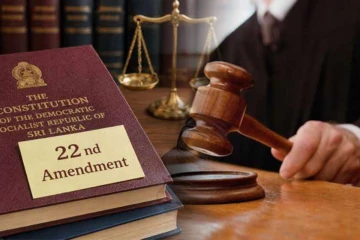 22ஆவது திருத்தச் சட்டமூலத்துக்கு ஆதரவாக இதுவரை நான்கு இடையீட்டு மனுக்கள் தாக்கல்