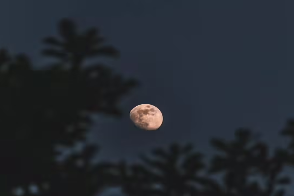 சித்ரா பௌர்ணமியுடன் தொடர்பு கொண்ட 16 ரகசியங்கள்.. என்ன தெரியுமா? | 16 Important Scerets Of Chithra Pournami Worship