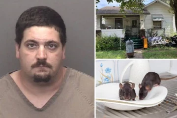 6 மாத குழந்தையை கடித்துக் குதறிய எலிகள்! அதிர்ச்சியை ஏற்படுத்திய சம்பவம்