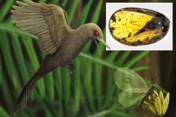 10 கோடி ஆண்டுகள் பழமையான டைனோசர் எலும்பு கண்டுபிடிப்பு