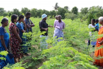 கிளிநொச்சி பெரும்போக விவசாயிகளுக்கு இழைக்கப்படும் அநீதி