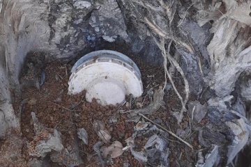 தமிழர் பகுதியில் மரத்திற்கு மேல் பதுக்கி வைக்கப்பட்ட குண்டு மீட்பு