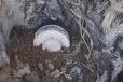 தமிழர் பகுதியில் மரத்திற்கு மேல் பதுக்கி வைக்கப்பட்ட குண்டு மீட்பு