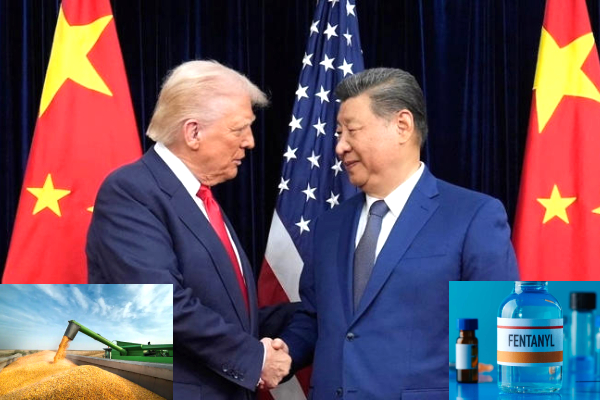 China suspends U.S. agri tariffs, U.S. China trade deal 2025, soybeans corn wheat tariff update, Trump Xi Jinping tariff agreement, fentanyl levy cuts China response, China U.S. agricultural exports, reciprocal tariff rollback 2025, China trade policy November 2025, U.S. chicken exports to China, global trade tensions ease China suspends U.S. agri tariffs, U.S. China trade deal 2025, soybeans corn wheat tariff update, Trump Xi Jinping tariff agreement, fentanyl levy cuts China response, China U.S. agricultural exports, reciprocal tariff rollback 2025, China trade policy November 2025, U.S. chicken exports to China, global trade tensions ease