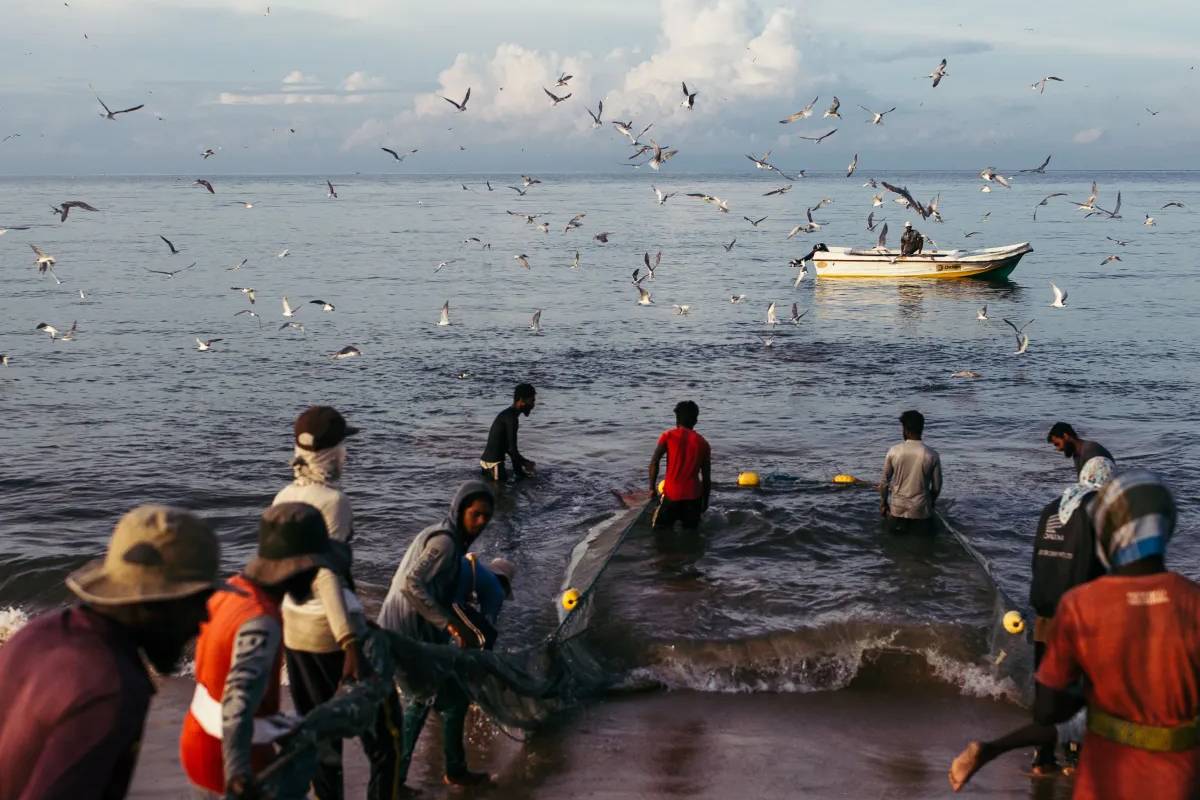 கடற்றொழிலாளர்களின் பிரச்சினைகள் தொடர்பில் திருகோணமலை மாவட்ட அபிவிருத்திக் கூட்டத்தில் விசேட தீர்மானம் | Fisher Problems Trincomalee District Meeting கடற்றொழிலாளர்களின் பிரச்சினைகள் தொடர்பில் திருகோணமலை மாவட்ட அபிவிருத்திக் கூட்டத்தில் விசேட தீர்மானம் | Fisher Problems Trincomalee District Meeting