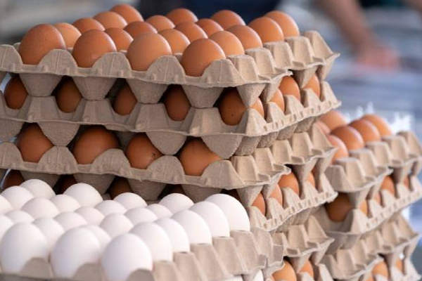 இலங்கையில் மீண்டும் அதிக விலைக்கு விற்கப்படும் முட்டை! | Eggs Sold At High Prices Again In Sri Lanka