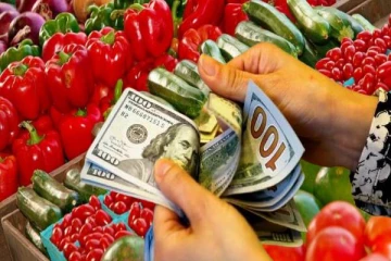 மரக்கறிகள் மற்றும் பழங்கள் இறக்குமதிக்கு செலவிடப்பட்டுள்ள டொலர்கள்