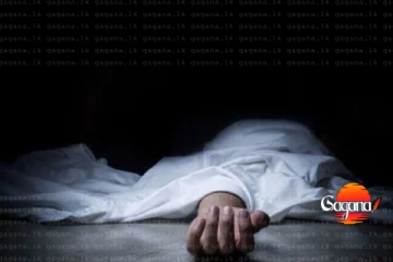 රත්නපුරයේ කතක් අභිරහස් ලෙස මිය යයි