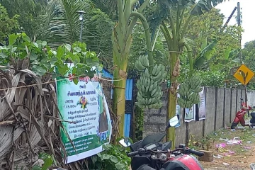 யாழில் தேங்காய் விழுந்து ஒருவர் உயிரிழப்பு(Photo)