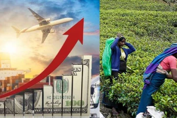 இலங்கையில் தோட்டப் பயிர்களின் ஏற்றுமதி வருமானம் அதிகரிப்பு