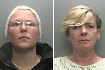 செல்லப்பிராணி கிளியை கொன்ற 2 பிரித்தானிய பெண்கள்: வாழ்நாள் தடை விதித்த நீதிமன்றம்