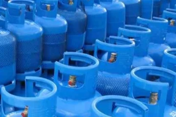 எரிவாயுவின் விலை  மீண்டும் அதிகரிக்க நேரிடும்- லிற்ரோ நிறுவன தலைவர்