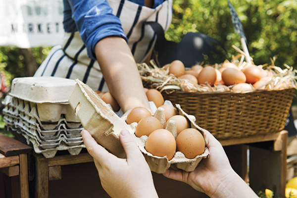 முட்டை விலை தொடர்பில் வெளியான தகவல் | The Price Of Eggs Exceeds The Control
