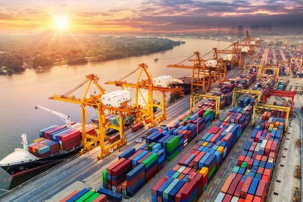 கொழும்பு துறைமுகம் ஈட்டியுள்ள பெருந்தொகை இலாபம் | Huge Profits Earned By The Port Of Colombo