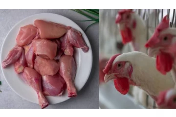 இந்தியாவில் சிக்கன் சாப்பிட கட்டுப்பாடு..அரசு எடுத்த திடீர் முடிவு - காரணம் என்ன?