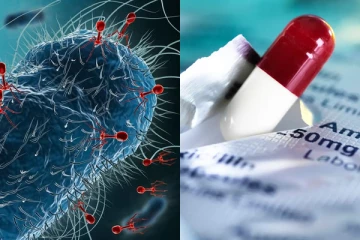 හිතුමනාපෙට Antibiotics ගත්තොත් සිදු වන දේ මෙන්න. ගර්භනී මව්වරුන්ට මේක විශේෂයි.