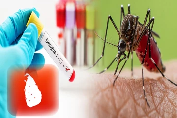 யாழில் அதிகரித்துள்ள டெங்கு: மக்களுக்கு விடுக்கப்பட்டுள்ள எச்சரிக்கை