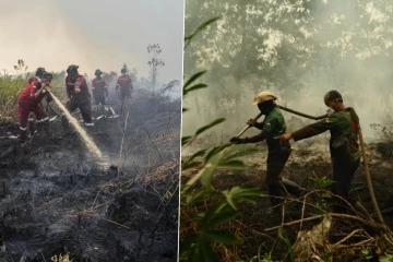 இந்தோனேசியாவில் காட்டுத் தீயால் உருவான புகை மூட்டம்: ஒரு இலட்சத்திற்கும் அதிகமானோர் பாதிப்பு