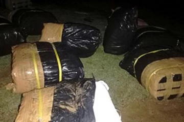 புத்தளத்தில் பெருந்தொகையான பீடி இலை பொதிகள் மீட்பு