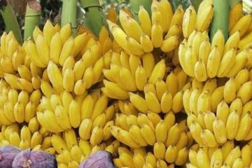 பூவன் வாழைப்பழம் கேள்வி பட்டிருக்கீங்களா? அதனால் இருக்கும் நன்மைகள் பற்றி தெரியுமா?