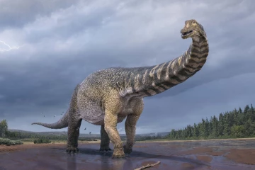 உலகின் மிகப் பெரிய  டைனோசர் இனம் ஆஸ்திரேலியாவில் கண்டுபிடிப்பு! அதன் பெயர் என்ன தெரியுமா?